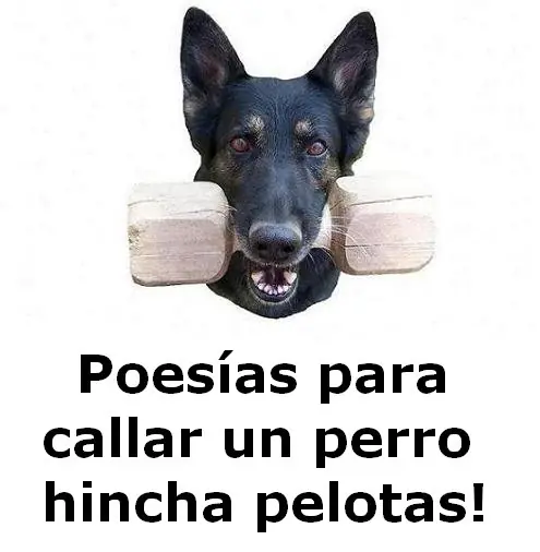 Poesia para Callar un Perro Hincha Pelotas (Propio)
