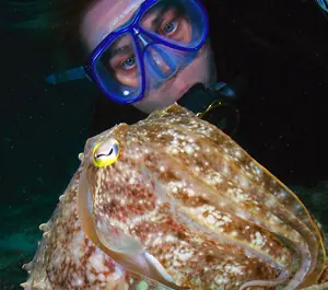 ¿Hay animales con poderes hipnoticos?