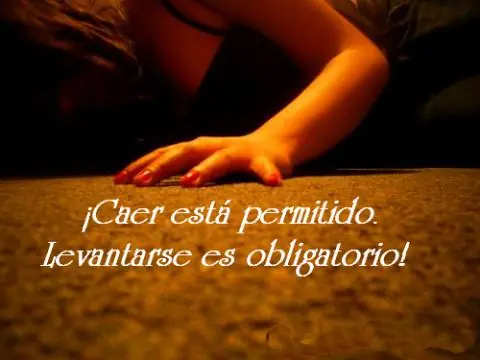 manual de supervivencia