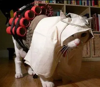 Un tal Ivan... situación política argentina.