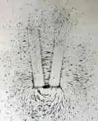 Experimentos