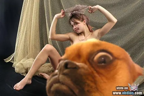 risa