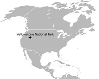 Yellowstone,Una Bomba De Tiempo !!