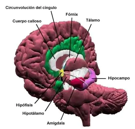 sistema sistema