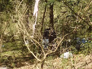 el lobison.lobizon,luison,lobisome,etc