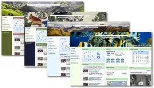 Google [Nuevos temas para elegir]