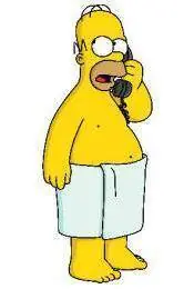 las 50 mejores frases de homero!