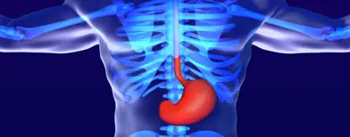 Producto natural podría curar la gastritis