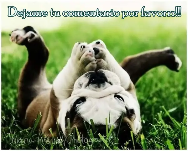 queres saber como seran tus hijos? entra aca!