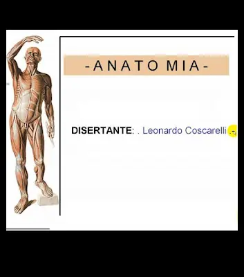 videos de anatomia humana de leonardo coscarelli en español