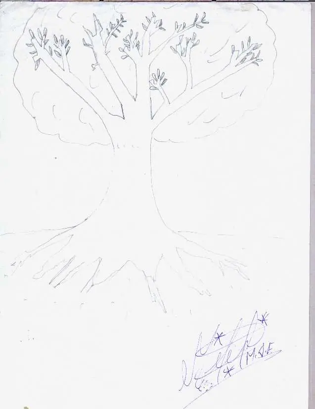 Interpretación de algunos test