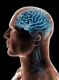 Hábitos que dañan el cerebro y tu salud