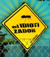 Idiotizador (Oye tu voz con retardo)