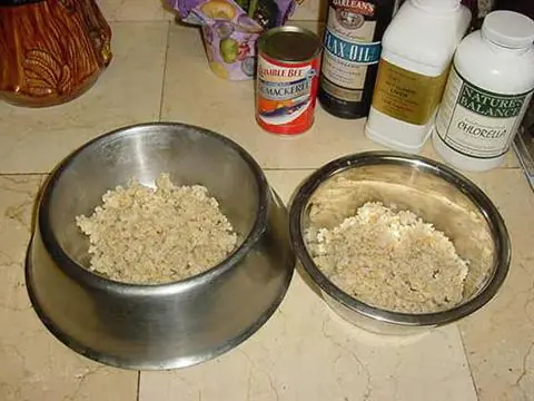 mina sonora