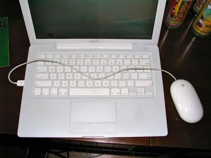 Megapost de imágenes graciosas