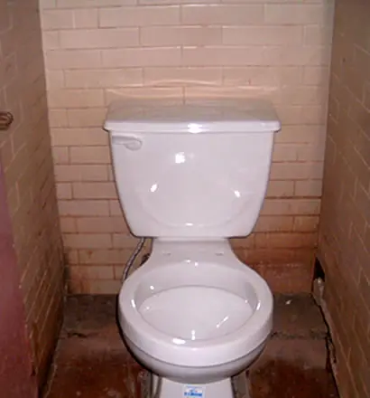 Limpiá tu Gato y tu Inodoro al mismo tiempo