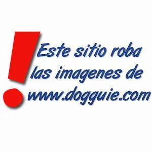 Gente rara y imágenes graciosas