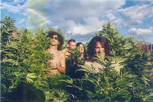 bajo el efecto de "maria"