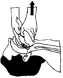 vida