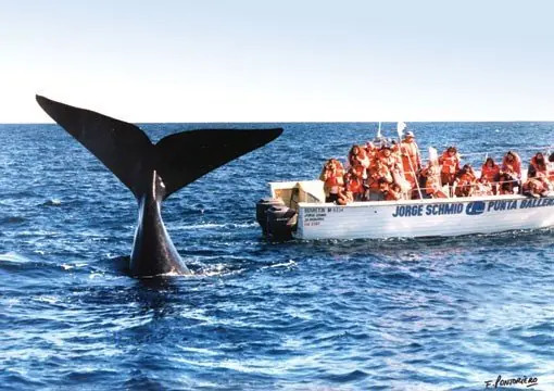 10 Lugares Imperdibles de Patagonia Sur