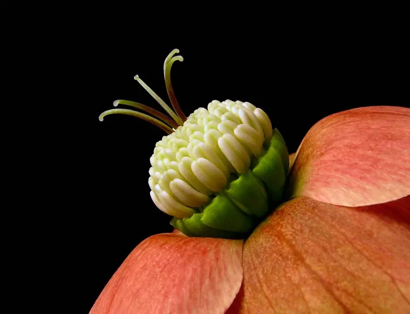 las mejores fotos del mundo