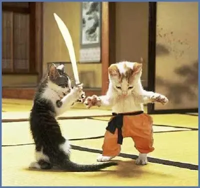 imagenes mas graciosas de gatos (megapost)