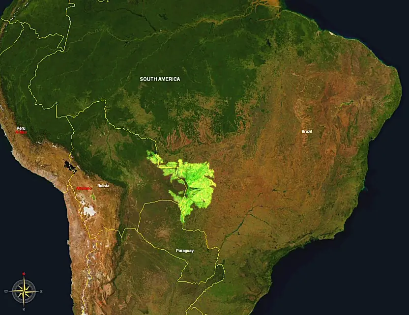 El Pantanal Brasileño