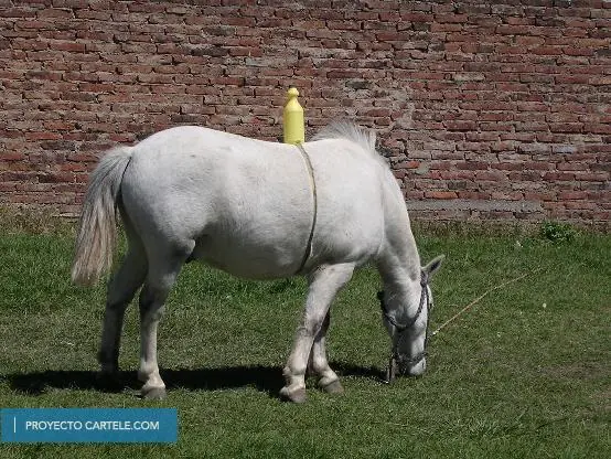 Humor con Carteles!!!