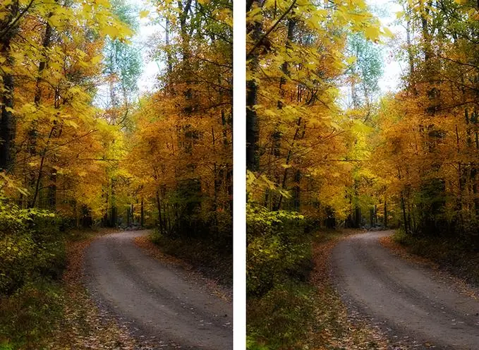 Imagenes en 3D sin anteojos -cross eyed-