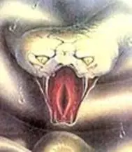 Mensajes subliminales en la publicidad gráfica.