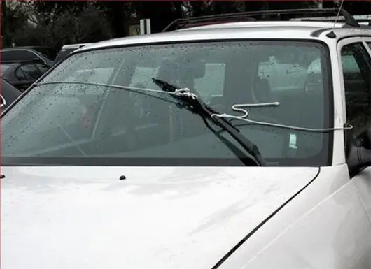 primer auto