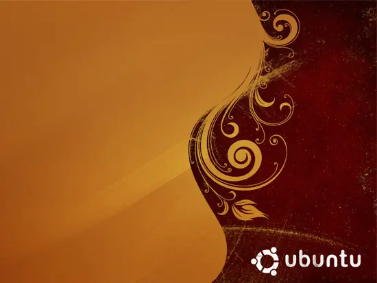 Ubuntu 10