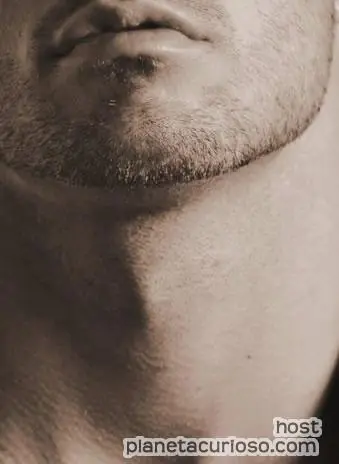 Por qué los hombres tienen nuez?