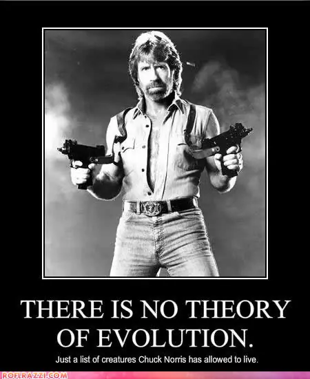 megapost de chuck norris