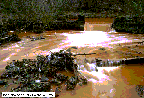 contaminacion