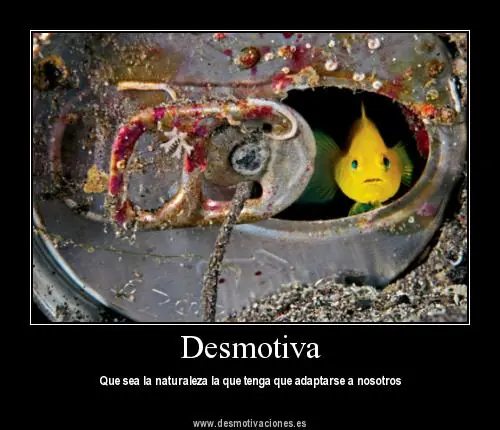 pensar