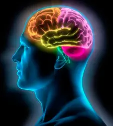 Ocho formas de mejorar la memoria...