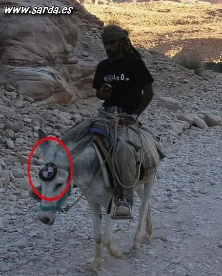 Videos Para no parar de Reir!