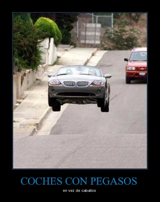 Imagenes muy Graciosas