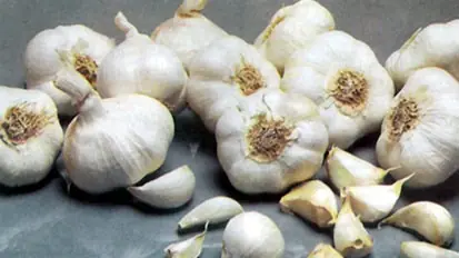 Arrós de Senyoret   (Arroz de Señorito).