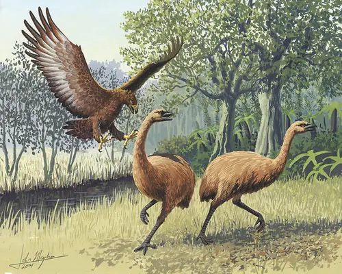 animales extintos por causa del 