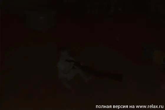 Padres Poco Normales!