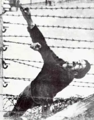 nazi