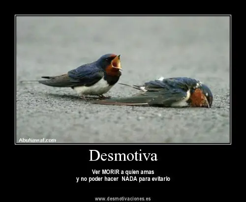 desmotiva