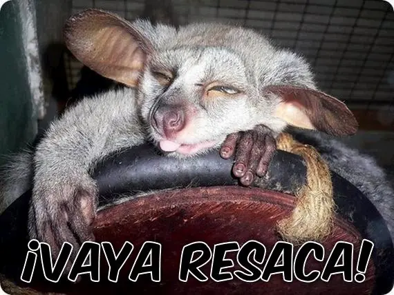 Megapost humor grafico, parte 2!
