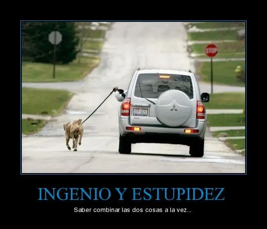 fotos de cosas raras (que imprecionan)