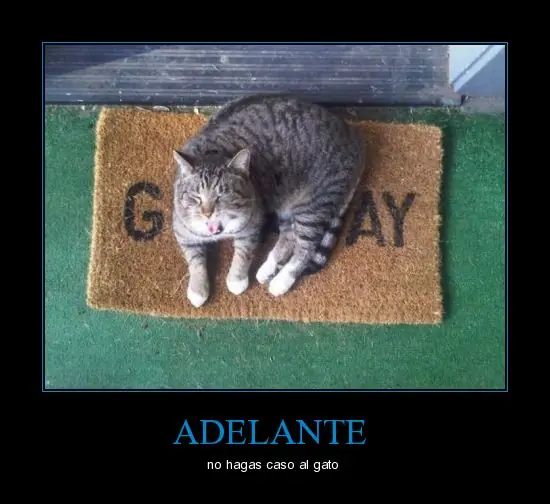 humor