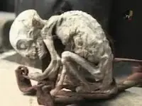 Ser extraño.ADN Humano (Ser Metepec o Bebe Alien)