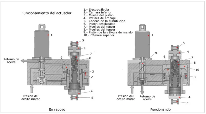 caja de cambios