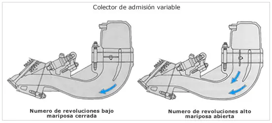 Distribución variable 1era parte